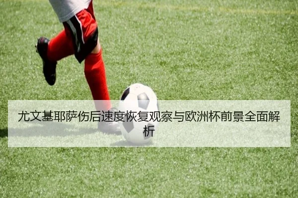 尤文基耶萨伤后速度恢复观察与欧洲杯前景全面解析